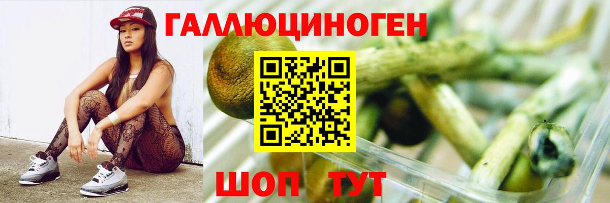 Псилоцибиновые грибы GOLDEN TEACHER Троицк
