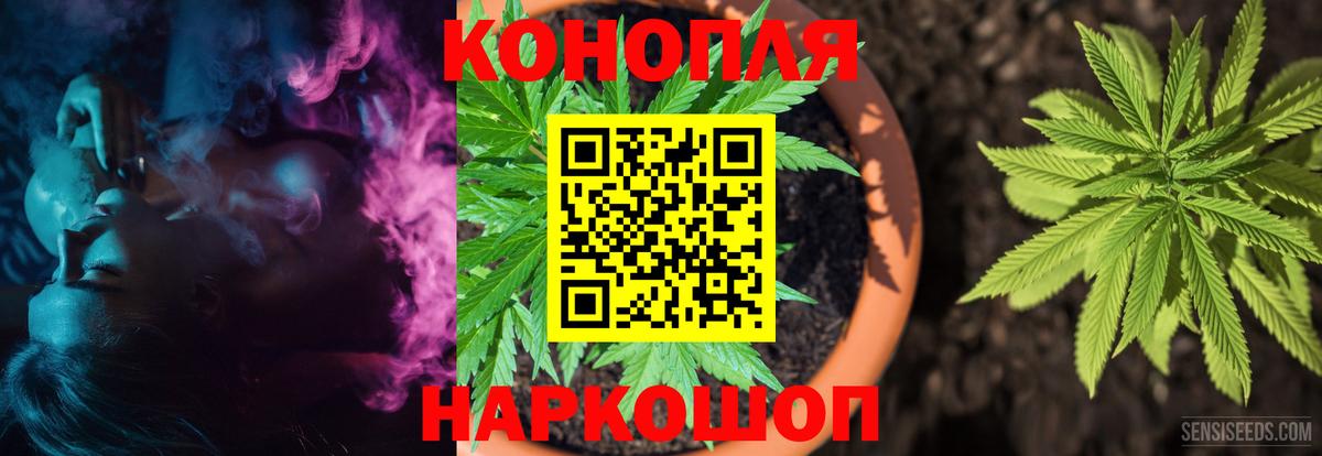 Бошки Шишки индика  Конопля ГИДРОПОН  Троицк  Конопля Bruce Banner  Вход с VPN 